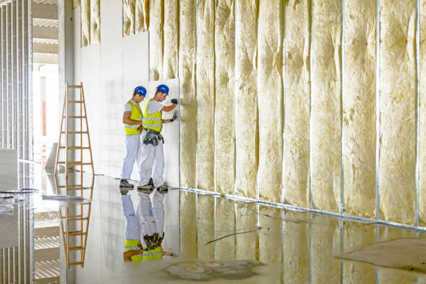 Best Eco-Friendly Insulation in Nashville, MI